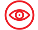 Vision Icon